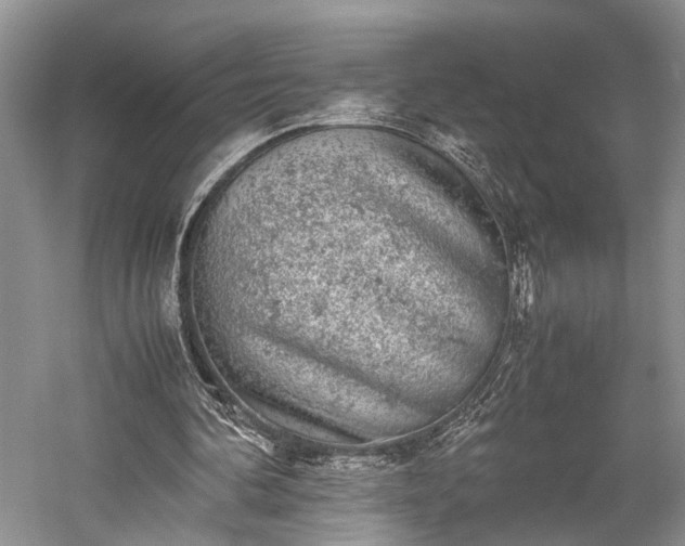 X0000059800292200510241336