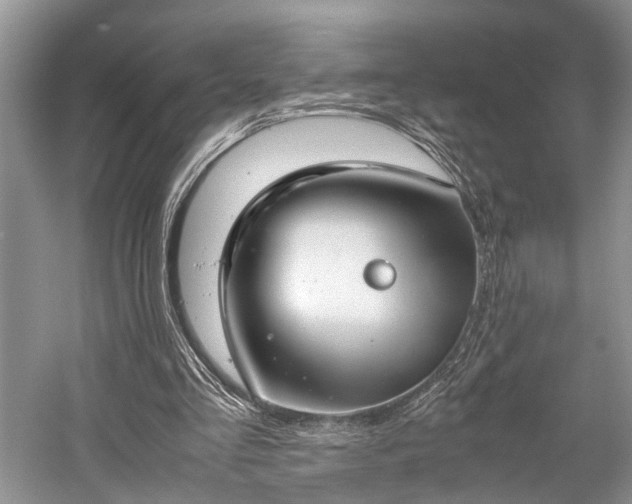 X0000059800293200510241336