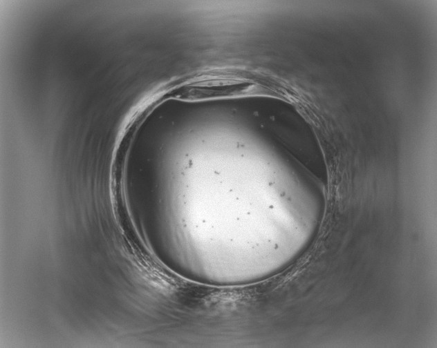 X0000059800294200510241336