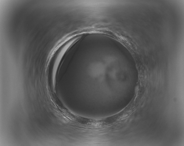 X0000059800295200510241336