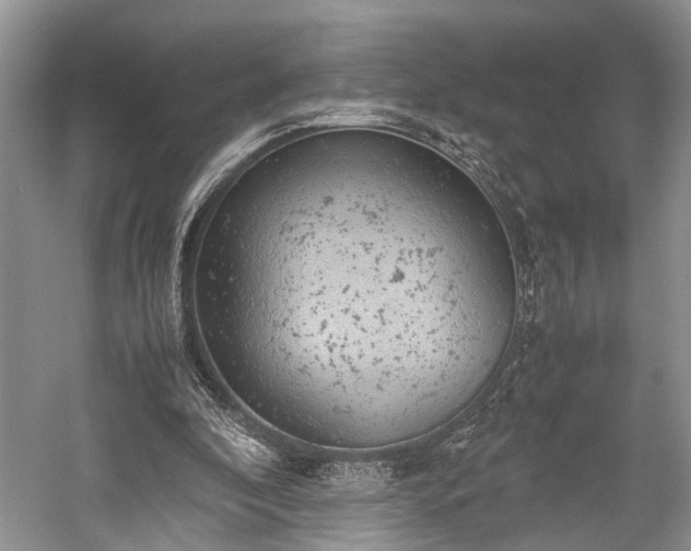 X0000059800296200510241336