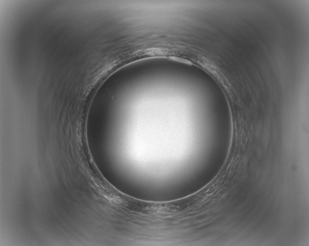 X0000059800297200510241336