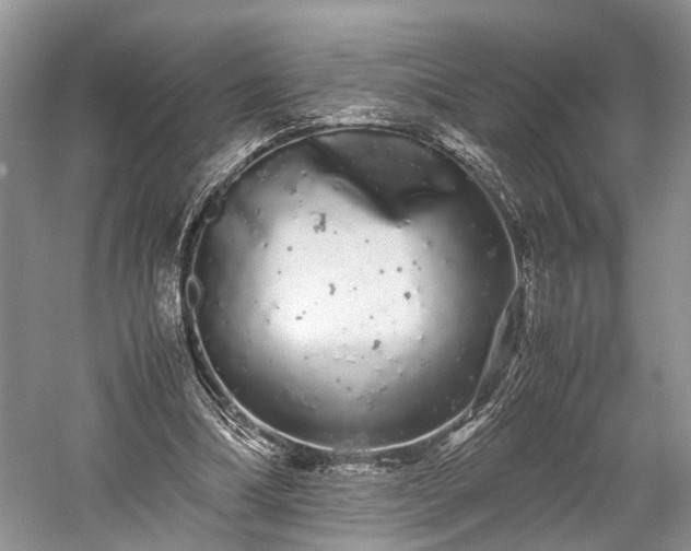 X0000059800298200510241336