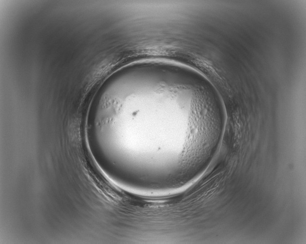 X0000059800299200510241336