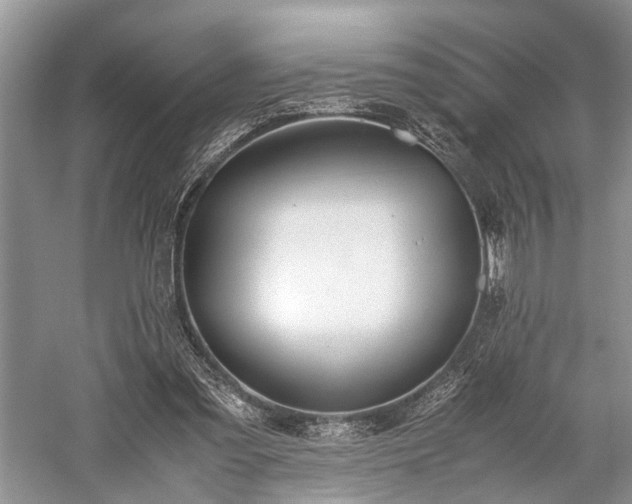 X0000059800301200510241336