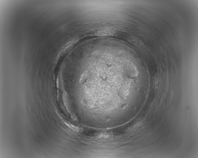 X0000059800303200510241336