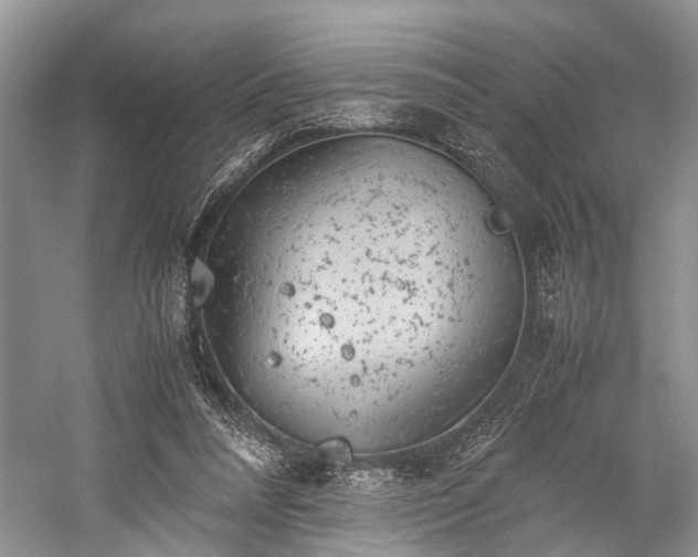 X0000059800304200510241336