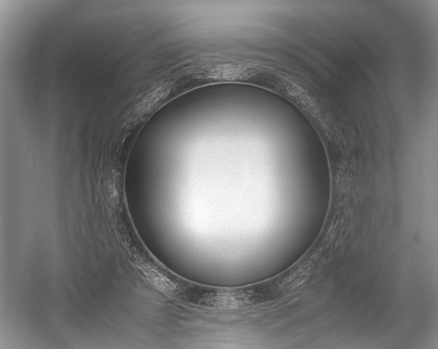 X0000059800305200510241336