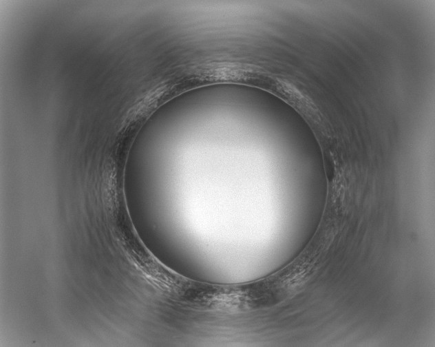 X0000059800306200510241336