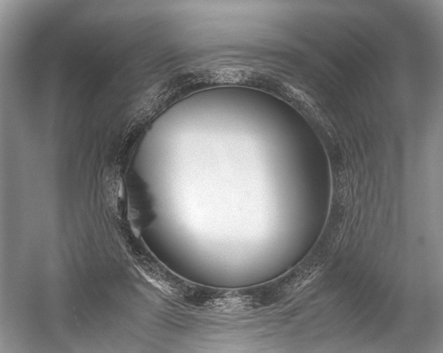 X0000059800307200510241336