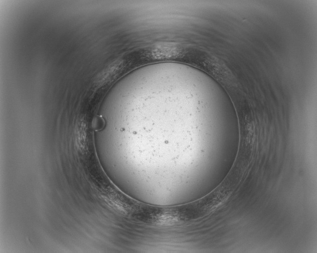 X0000059800308200510241336