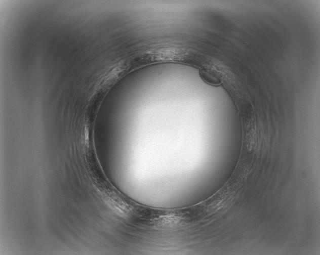 X0000059800310200510241336