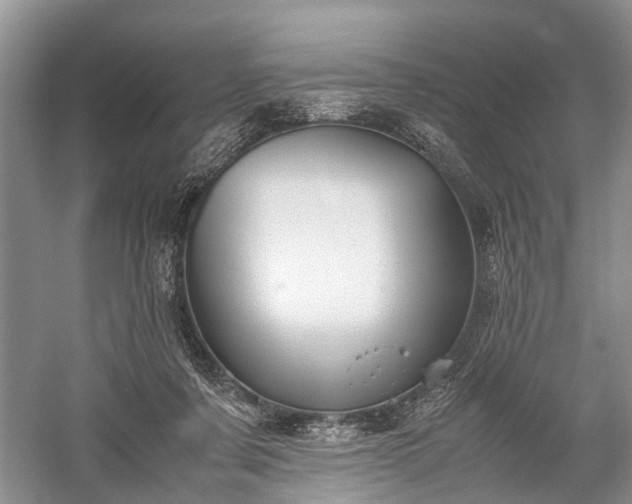 X0000059800311200510241336