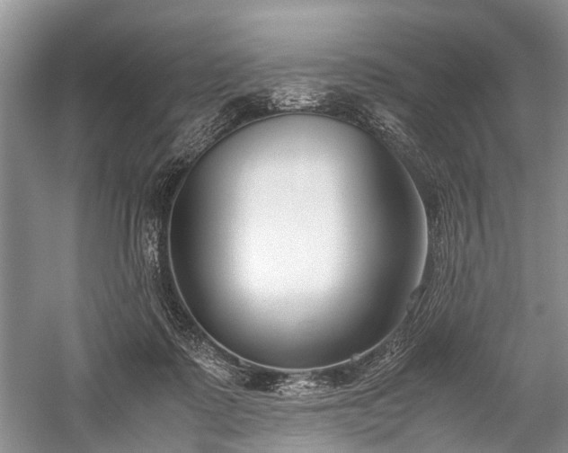 X0000059800315200510241336