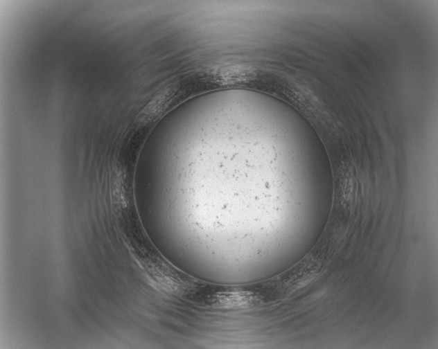 X0000059800316200510241336