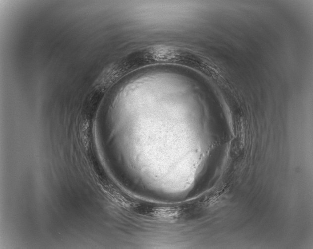 X0000059800319200510241336