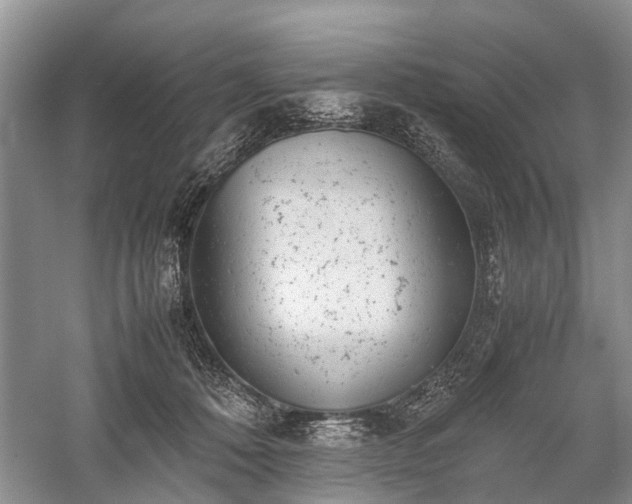 X0000059800320200510241336