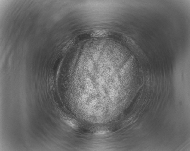 X0000059800322200510241336