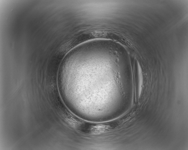 X0000059800323200510241336