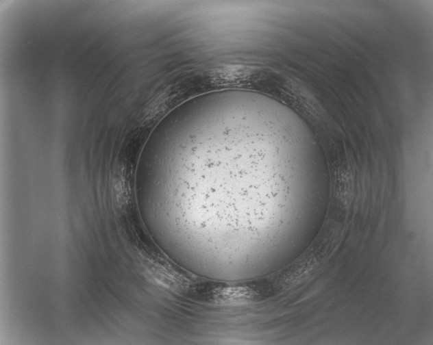 X0000059800324200510241336