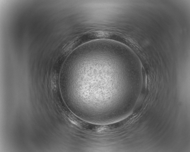 X0000059800325200510241336