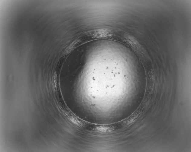 X0000059800326200510241336