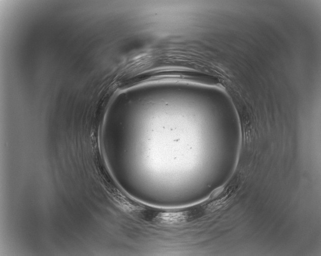 X0000059800327200510241336