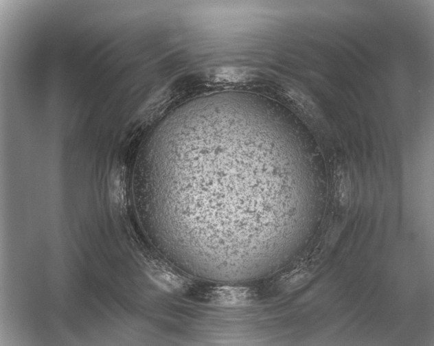 X0000059800328200510241336