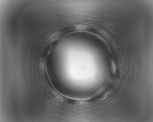 X0000059800329200510241336