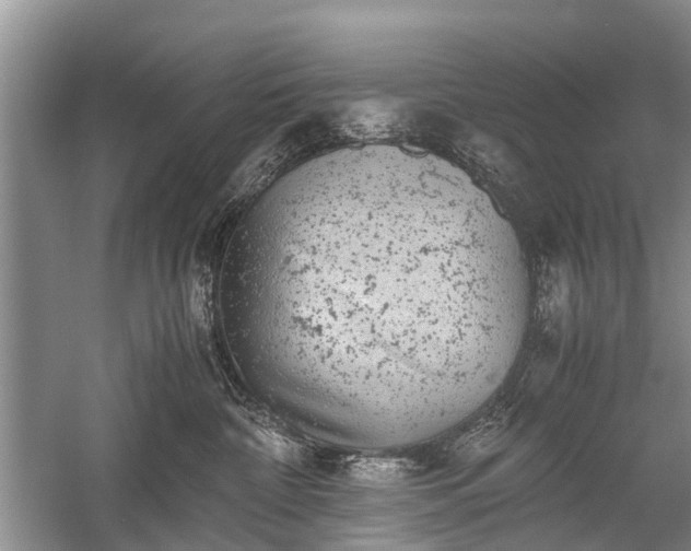 X0000059800332200510241335