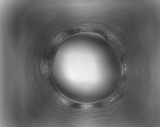 X0000059800333200510241335