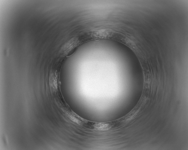 X0000059800334200510241335