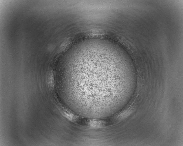 X0000059800336200510241335