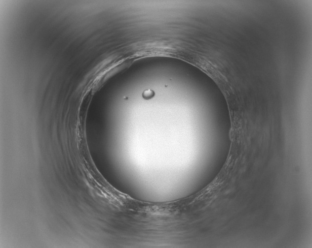 X0000059800338200510241335