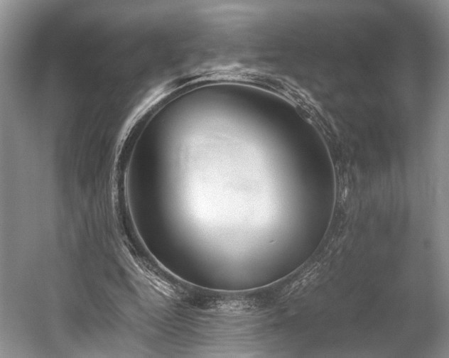 X0000059800344200510241335