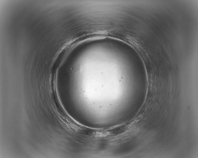 X0000059800346200510241335