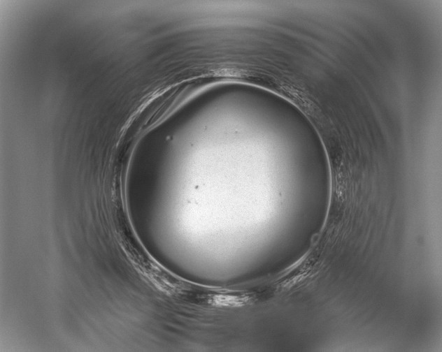 X0000059800347200510241335