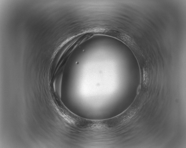 X0000059800348200510241335