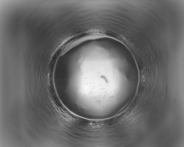 X0000059800351200510241335