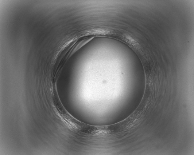 X0000059800352200510241335