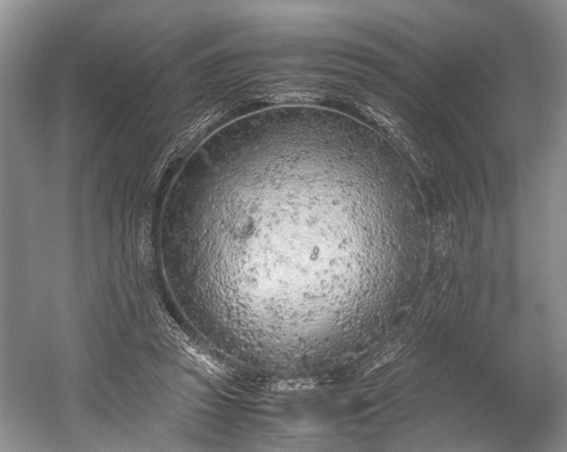 X0000059800353200510241335