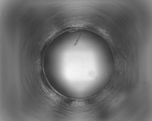 X0000059800354200510241335