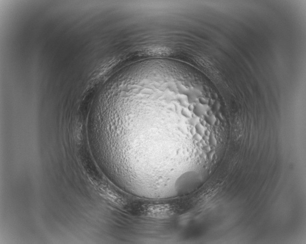 X0000059800355200510241335