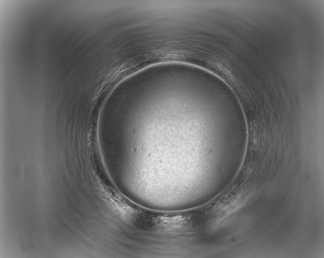 X0000059800357200510241335