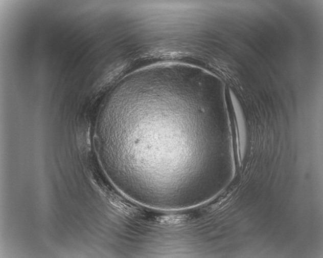 X0000059800358200510241335