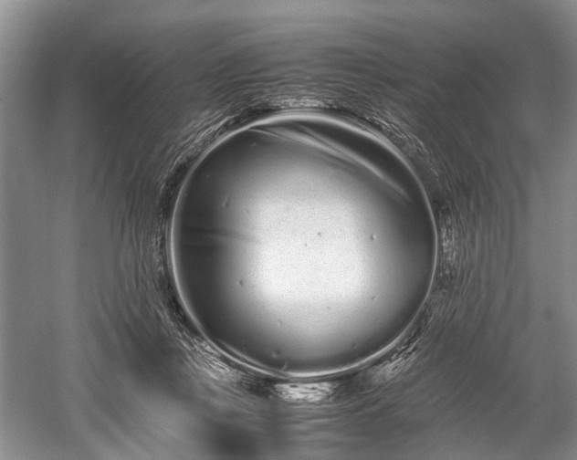 X0000059800359200510241335