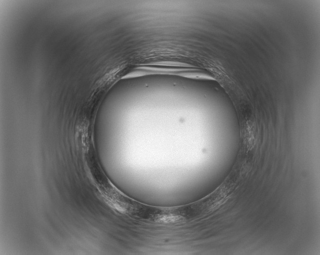 X0000059800360200510241335