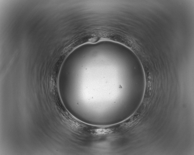 X0000059800371200510241335