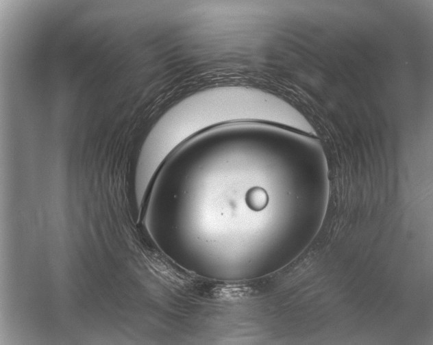 X0000059800372200510241335