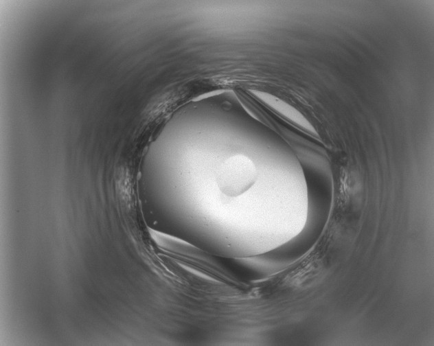 X0000059800380200510241335